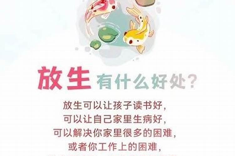 儿子病重,替他放生有痊愈？