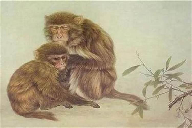 农历1968年腊月二十六日丑时生人一生运势