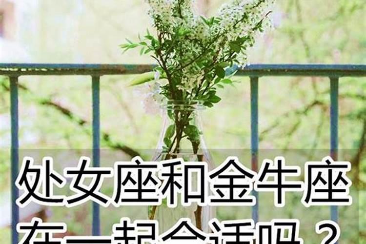属牛男和属猪女相配吗