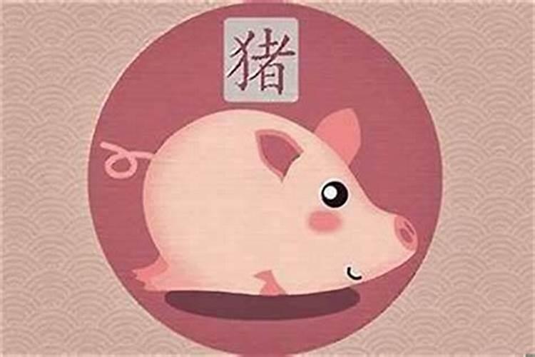 属猪人10月走什么运？财运失掉晚辈的馈赠？