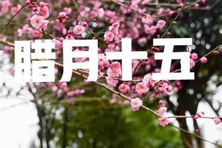 农历十二月十五宜忌