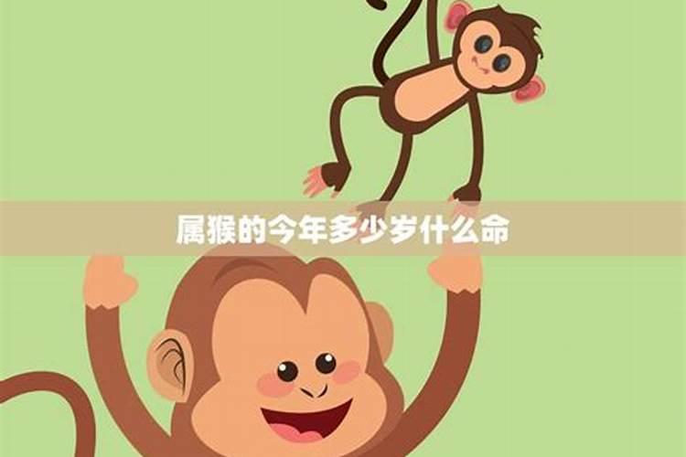 2025年属猴人运势运程每月运程