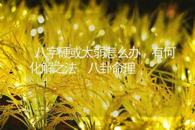 重阳节的意义是什么有什么习俗