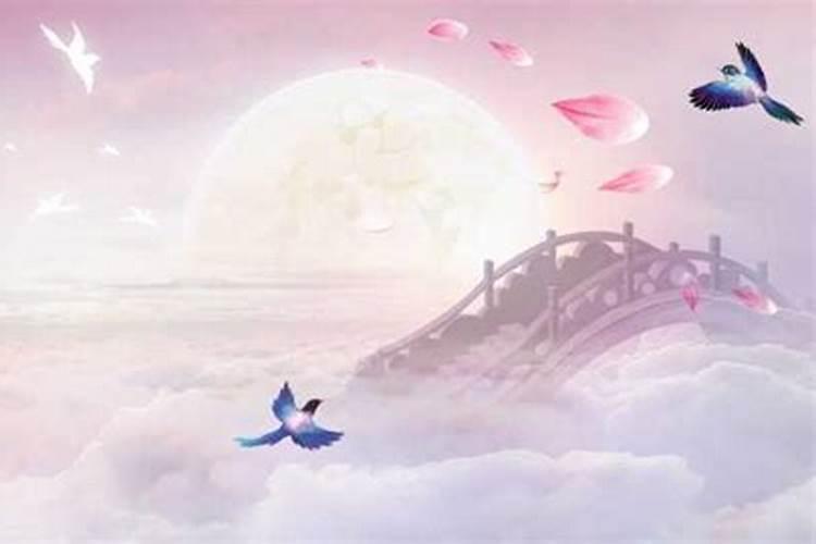 2025年属猪人全年运势