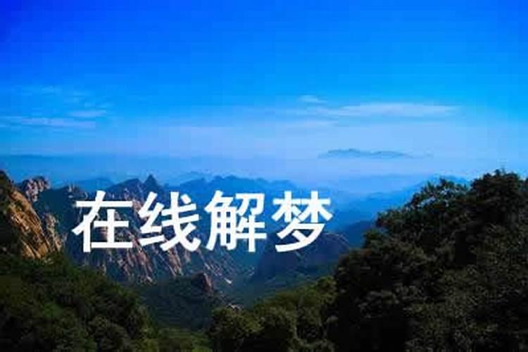 梦见回到家乡
