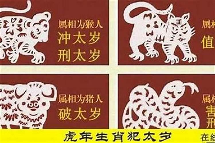 属兔与属猪的在事业上合作好不好,兔和猪相合吗