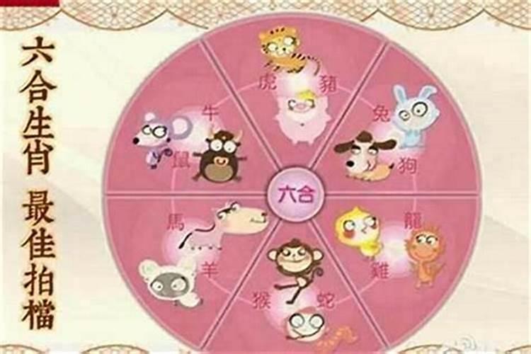 男友属羊,我属兔,算命的说我们两个命里不相生什么意思？