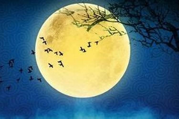 怎样看八字是否有子星,八字中什么是子星