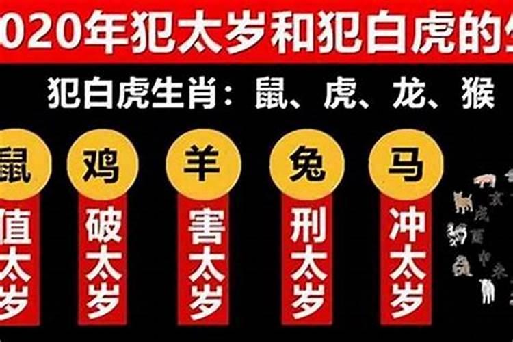 鼠2025年犯太岁吗