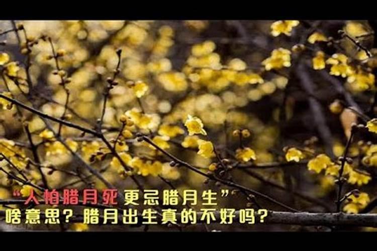 俗话说人怕腊月生,又怕腊月死,难道腊月出生不好？