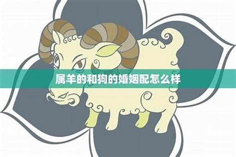 2024年犯太岁的五大生肖分别是