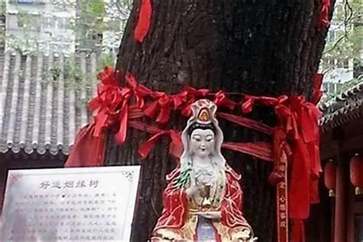 谁知道哪里有月老庙呀？哪里的最灵验,想去求姻缘。