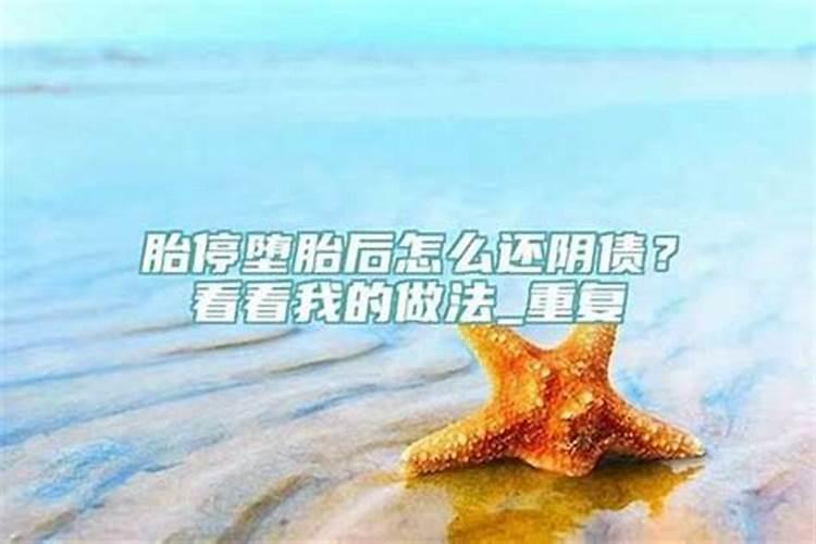 立夏适合种什么花