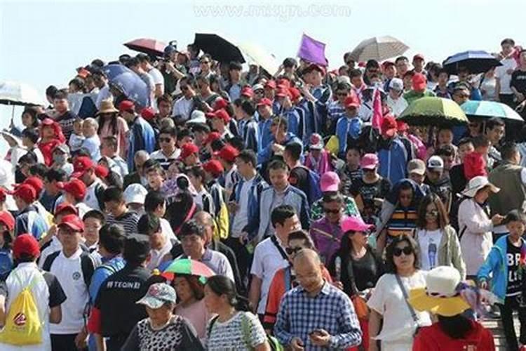 梦见很多五颜六色的蛇在水里游
