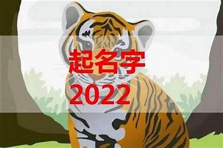 属虎的男孩名字集