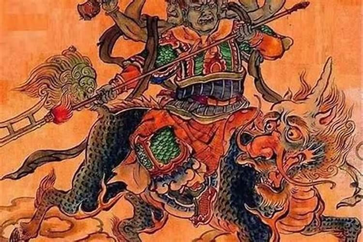 2025年是属什么年犯太岁