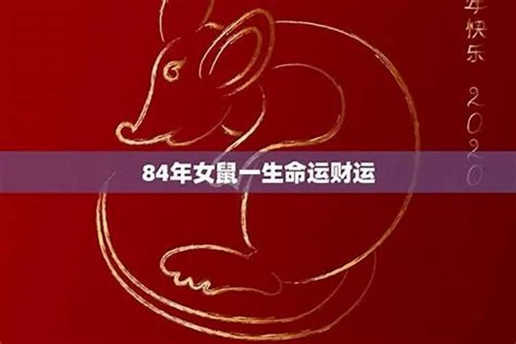 84年的鼠2025年的运势及运程