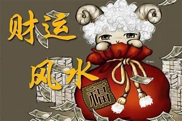 梦见很大的乌龟有哪些预示