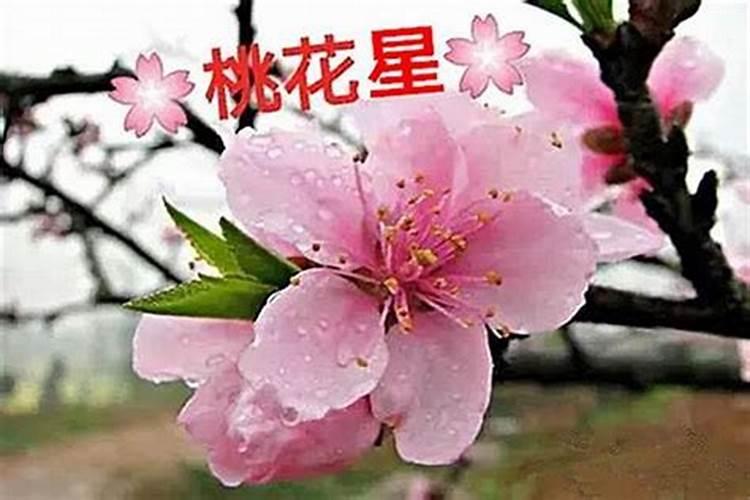 交运需要躲三天吗 算命里说的交运是什么意思