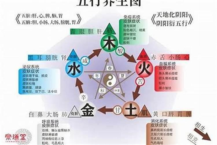 属鸡男和属兔女适合做夫妻吗