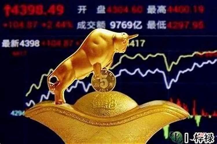 如何查自己的财库