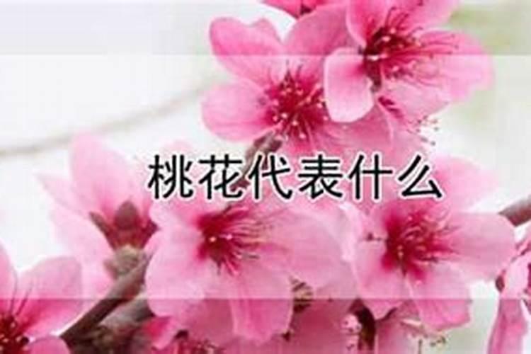 什么是桃花运 ？