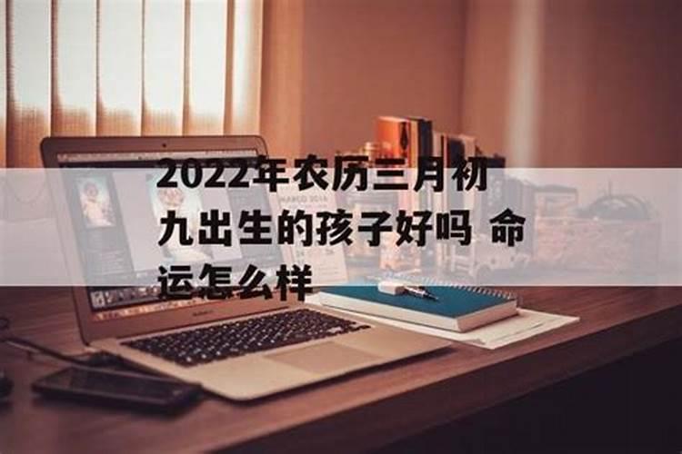 十二生肖属相犯太岁的年份,鼠年犯太岁的四个属相
