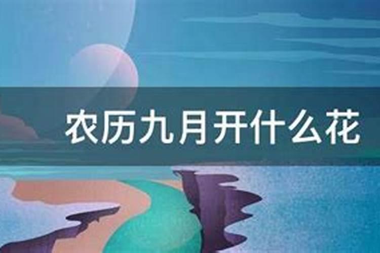 七月十五是什么星座的