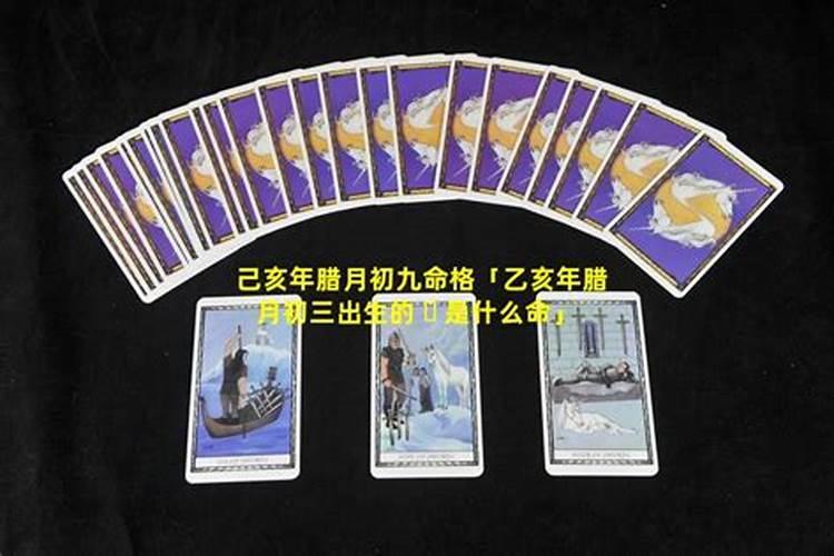 农历腊月十五是什么生肖？