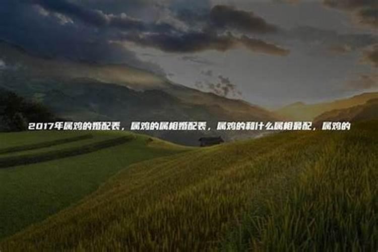 如何看自己与对方的八字合不合