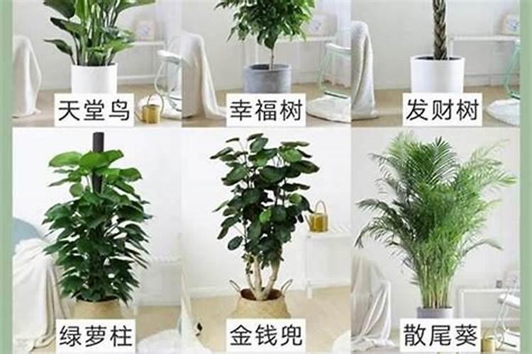 八字不合可以化解吗？