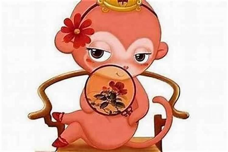 属猴女人婚配属相最好,猴年出生的人和什么属相的人结婚是最好的配偶