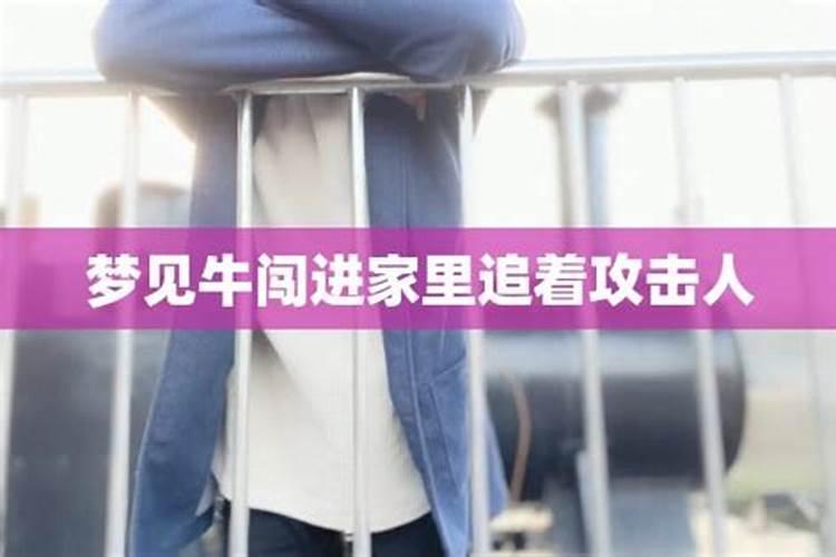 梦见牛追我还要攻击我