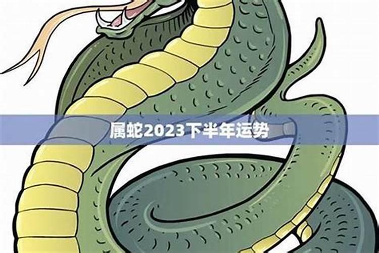 属蛇的今年下半年运势如何 65年蛇男2024 年下半年状况