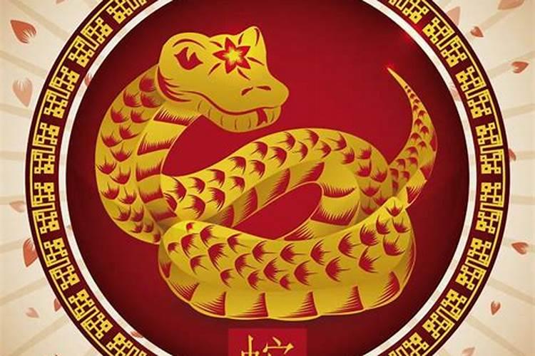 2024属蛇下半年感情婚姻如何