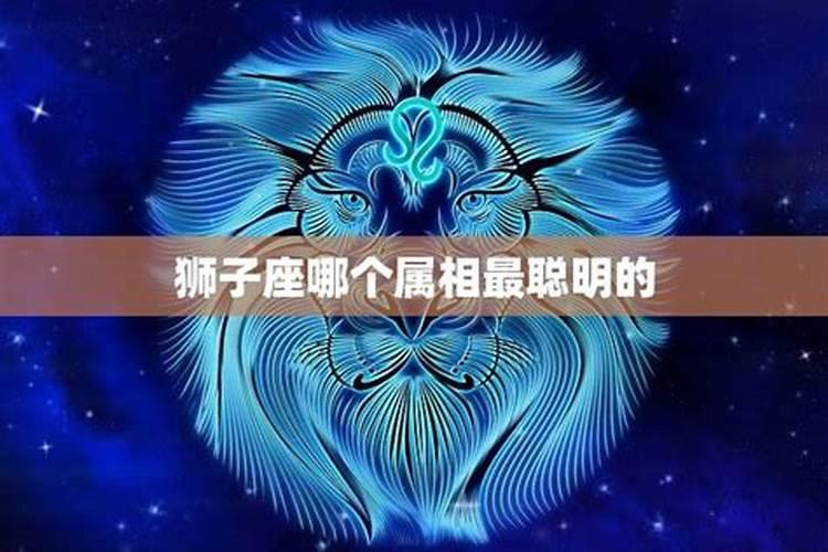 十二生肖最聪明的动物是什么