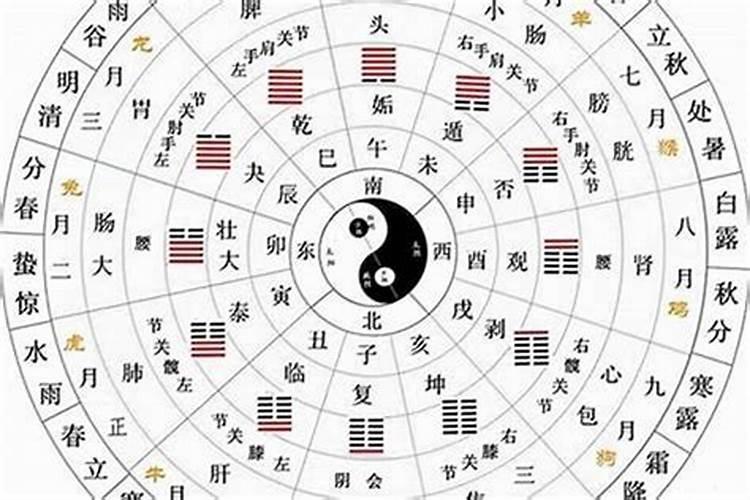 什么叫天干透出