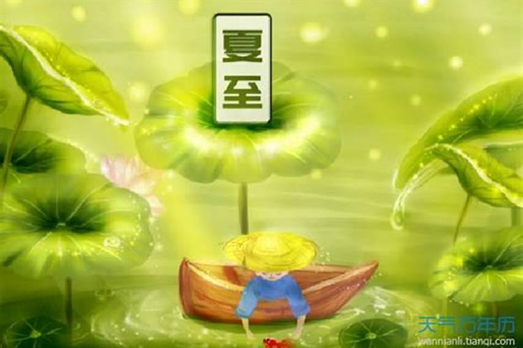 夏至之后的节气 夏至之后的节气的简介