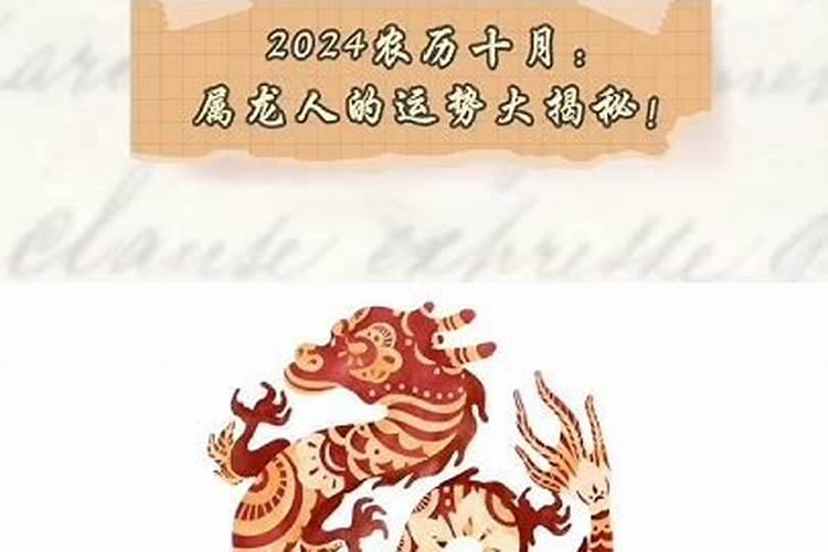 属龙的十月出生好不好