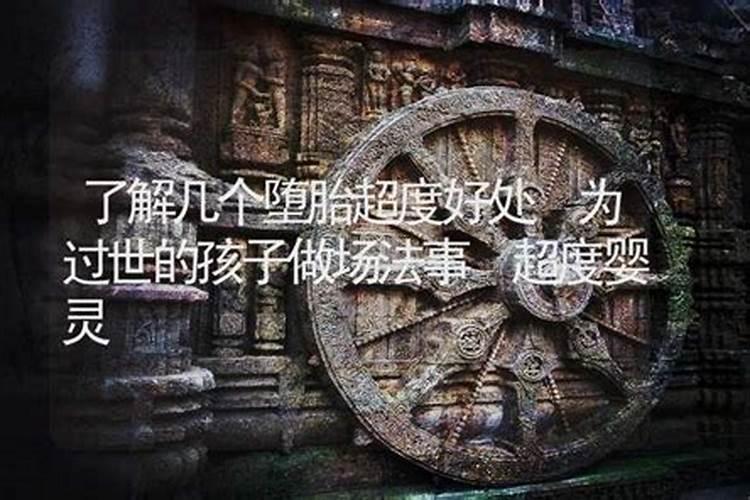 童子的孩子命运怎么样