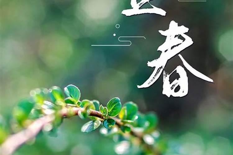 立春哪个时间最好