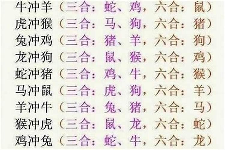 牛马属相能婚配吗,牛马属相不能结婚吗