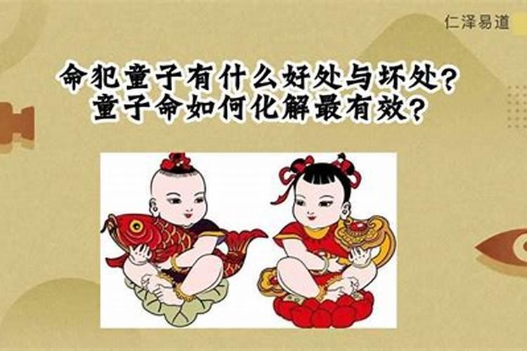 太岁的用途有哪些