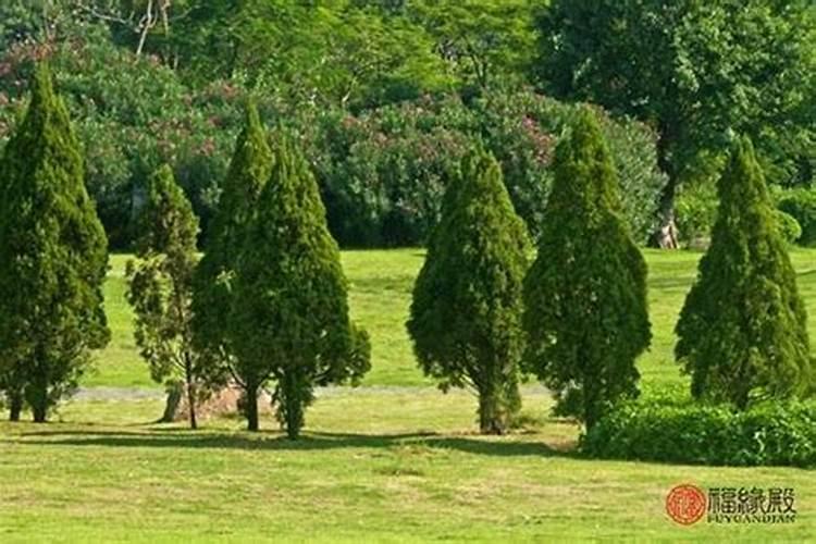免费算正缘桃花何时到,八字测正缘出现的准确时间、年份