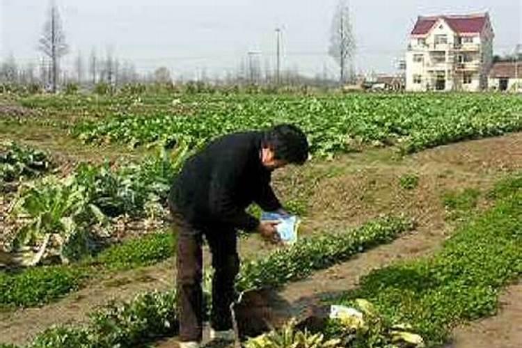 春节年前年后传统习俗有哪些