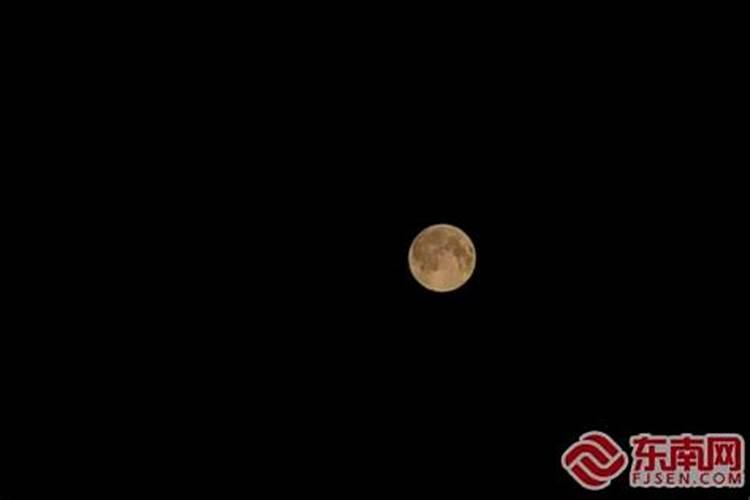 重阳节的风俗是什么传统 重阳节的风俗是什么传统文化