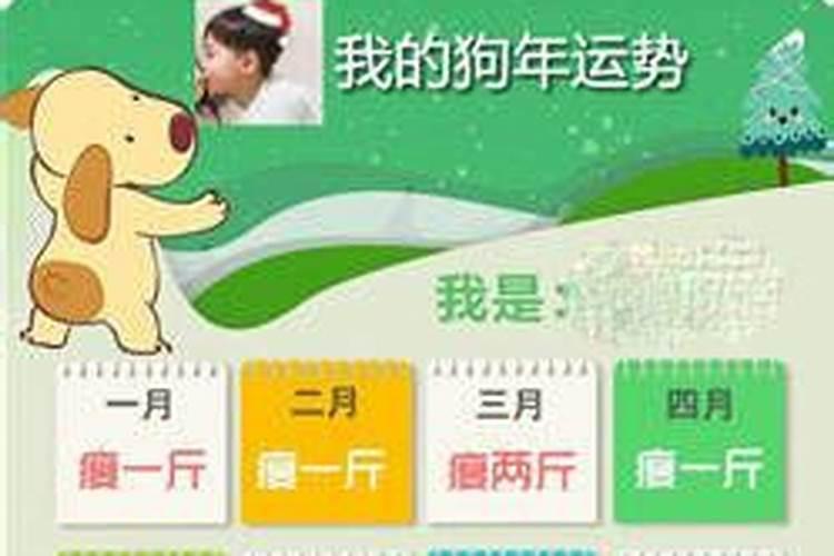 属鼠36岁本命年灾难如何化解