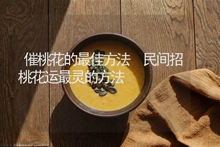 属蛇和属鼠的合不合