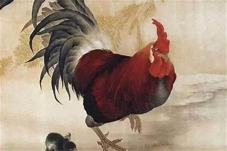 梦见吃蛇肉是什么意思