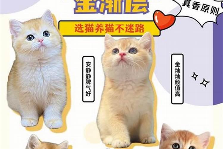 请问腊月住新房那天日子好？